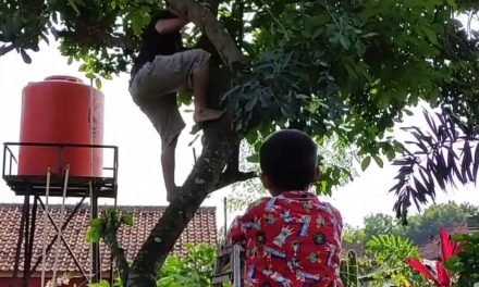 Ketika Nyaris Menyerah