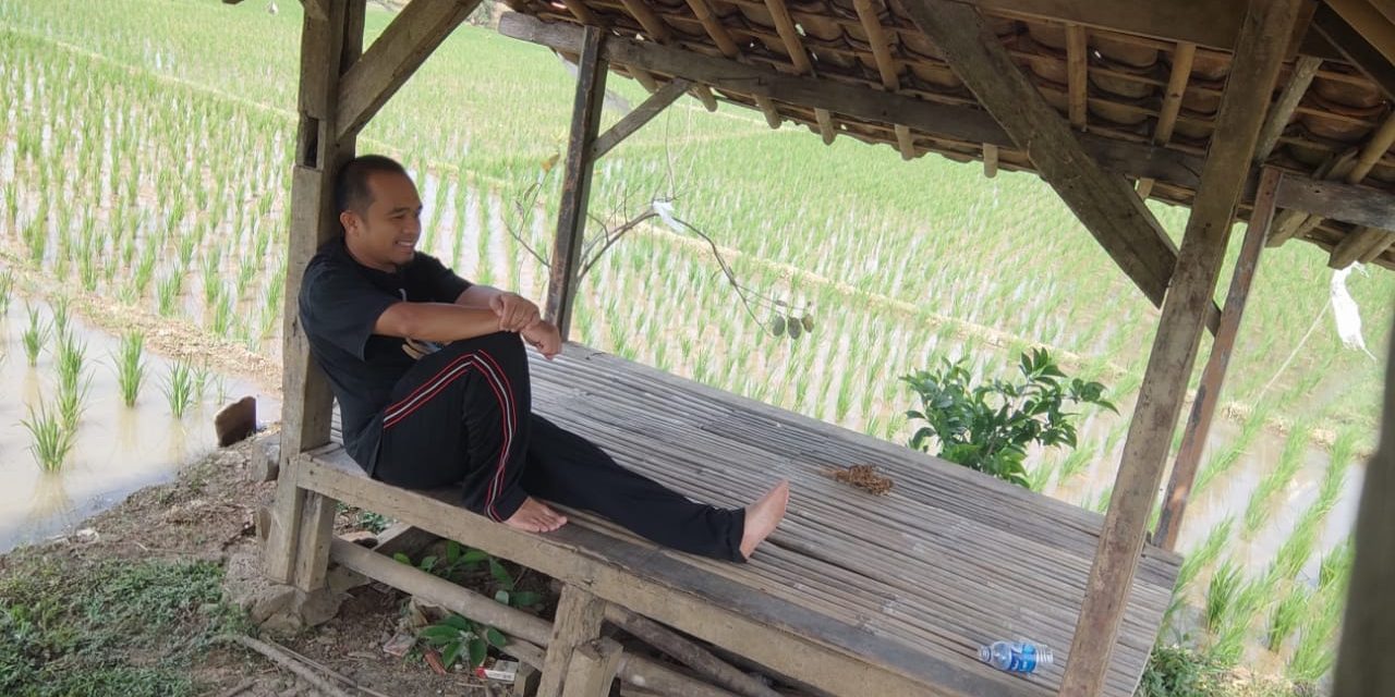 Healing di Sawah