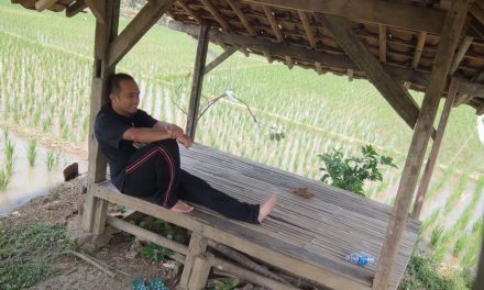 Healing di Sawah