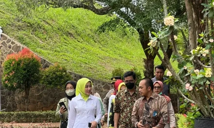 Tentang Bu Cinta dan Kampus DAHANA