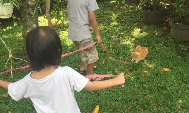 Ada Saatnya Tidak Lihat Umur