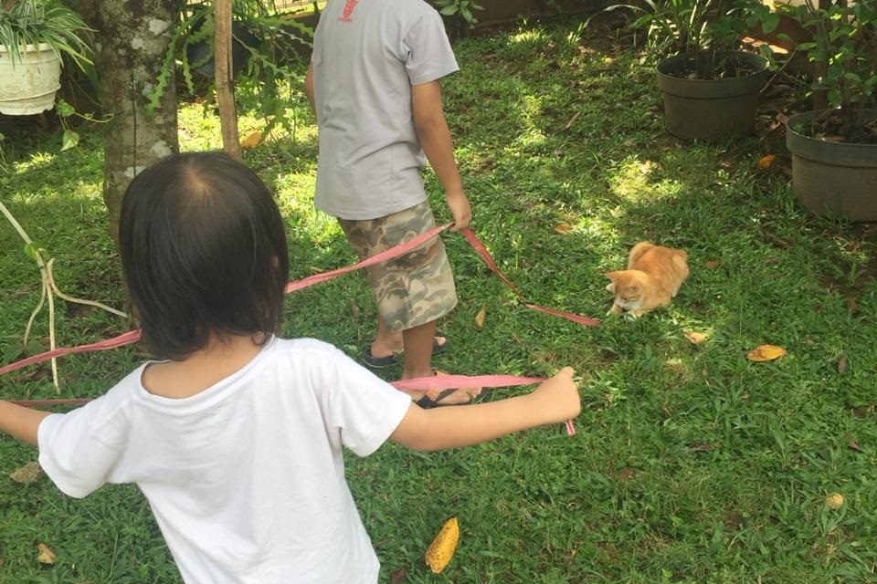 Ada Saatnya Tidak Lihat Umur