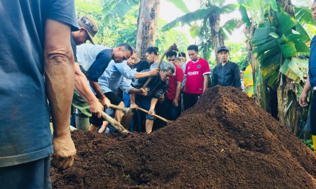 Jangan Tertipu, Daun Muda Bisa Jatuh