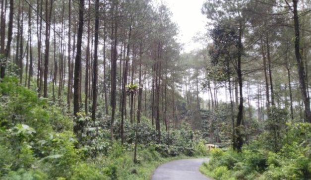 Dari Subang ke Tasikmalaya: Tiga Jalur, Tiga Cerita