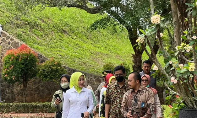 Tentang Bu Cinta dan Kampus DAHANA